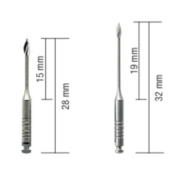 Gates Glidden Sizes